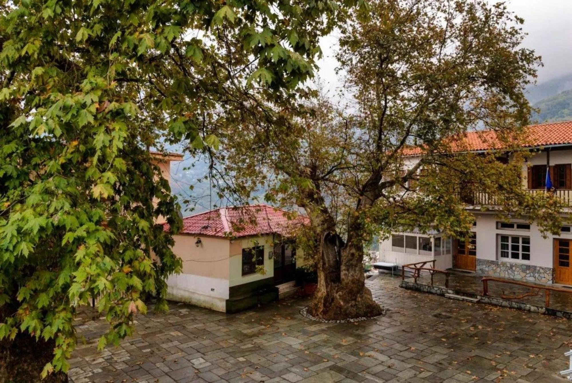 Hara'S House Pelion Apartment Makrirrákhi Екстериор снимка